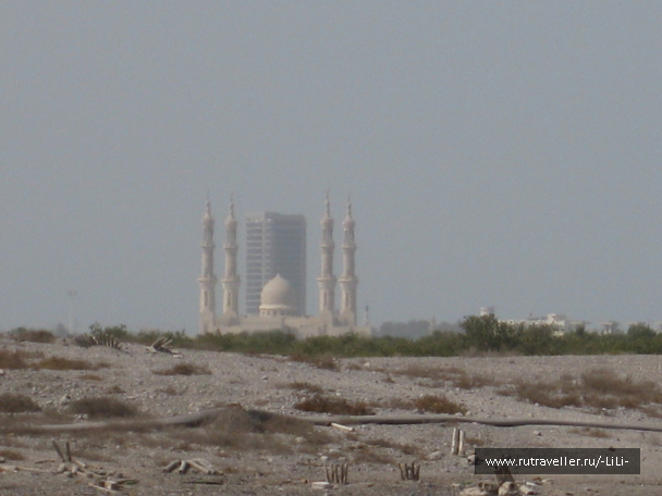 photo 423254