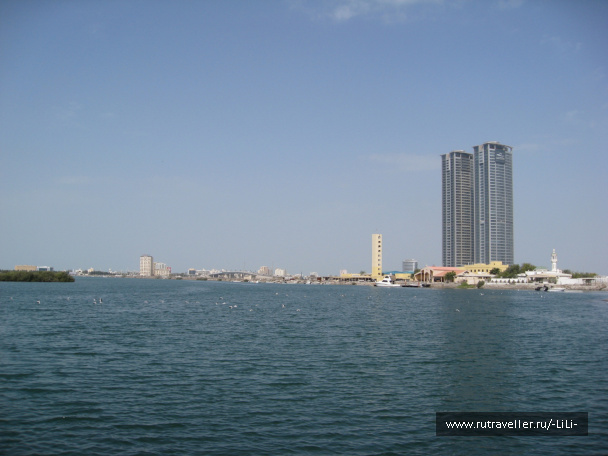 photo 423255
