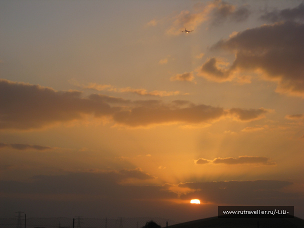 photo 423256