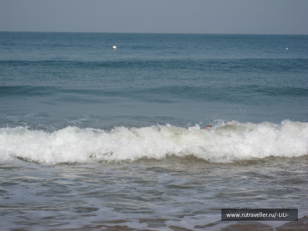 photo 423275