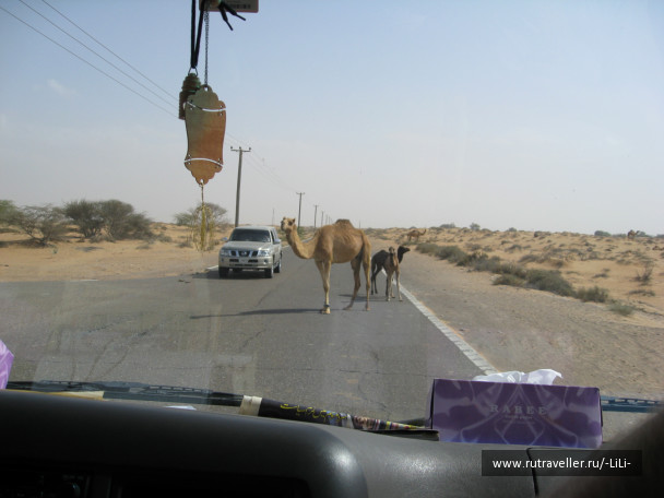 photo 423293