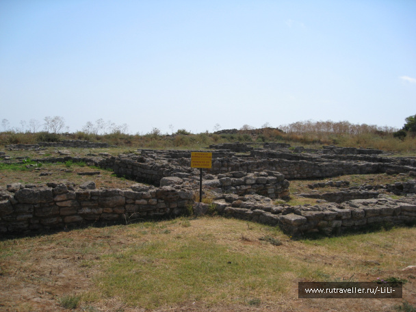 photo 424821
