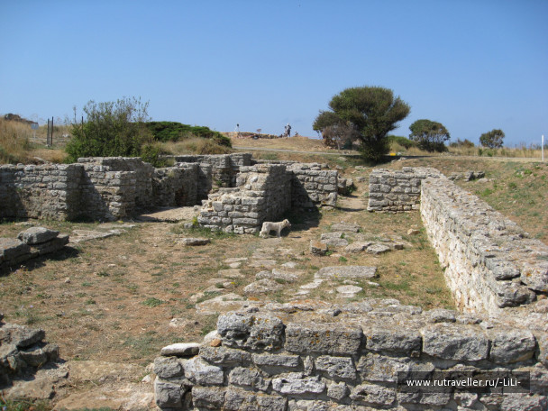 photo 424824