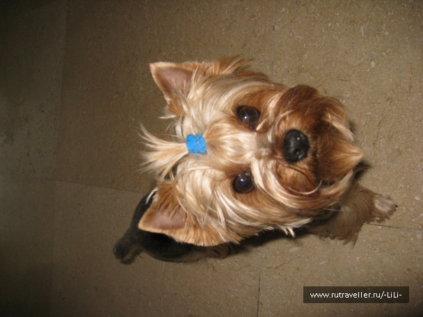 photo 428008
