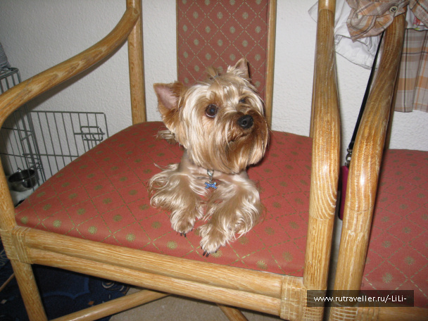 photo 428073