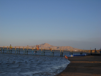 photo 425602