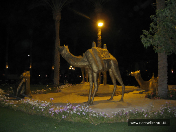 photo 425611