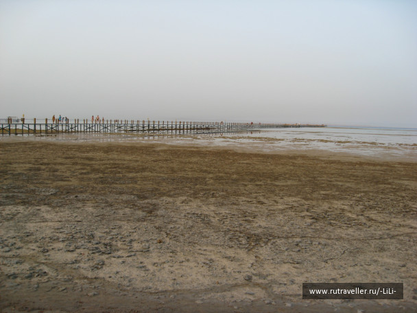 photo 433241