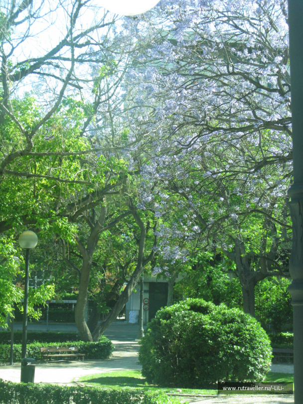 photo 431502