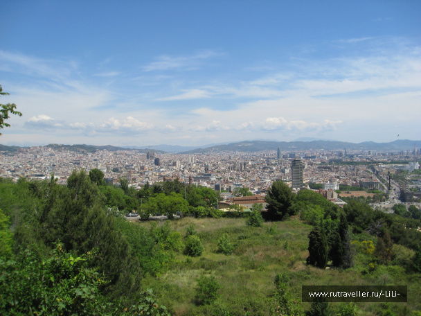 photo 431512
