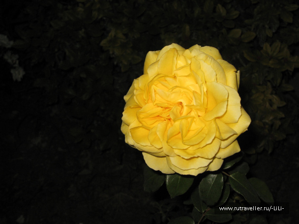 photo 439758