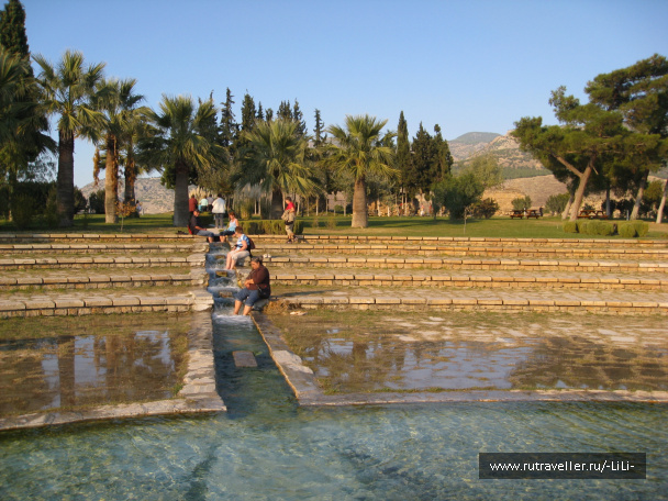 photo 439761
