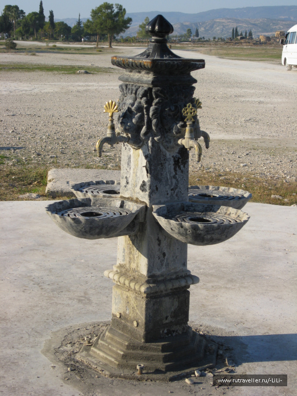 photo 439768