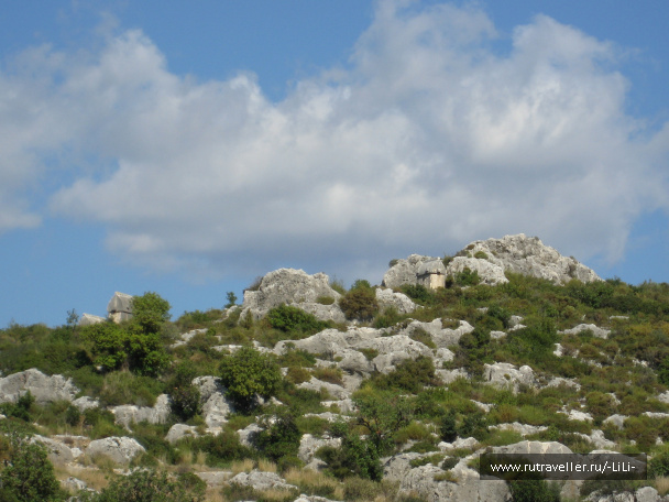 photo 439794