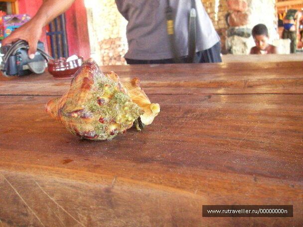 photo 473541