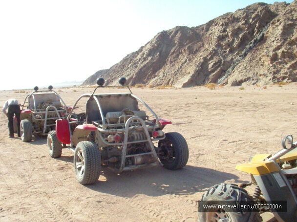 photo 473542