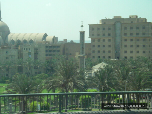 photo 473555