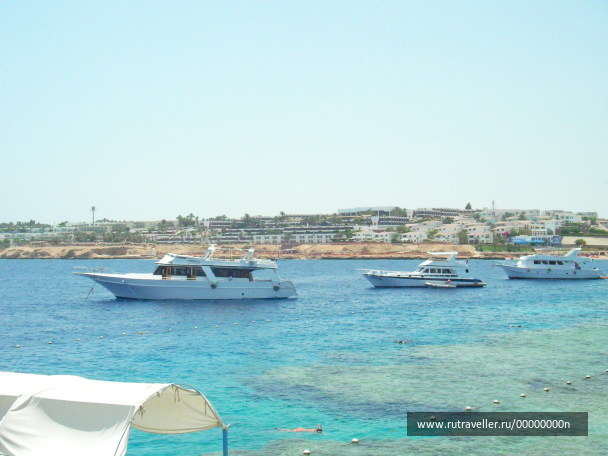 photo 473557