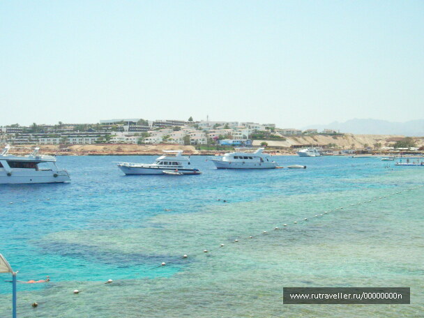 photo 473558