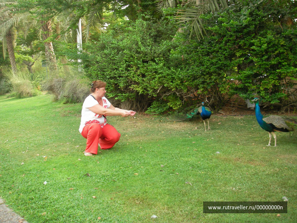 photo 473714