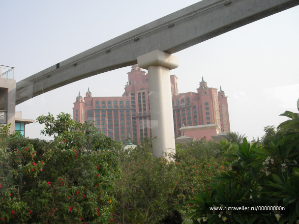 photo 473721