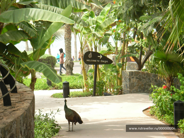 photo 473746