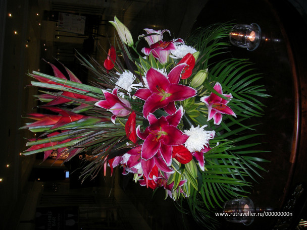 photo 473756