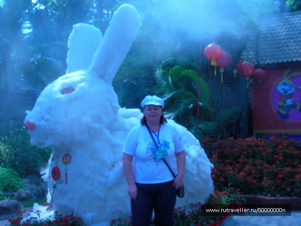 photo 473932