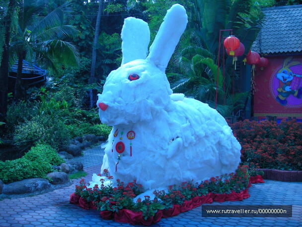 photo 473933