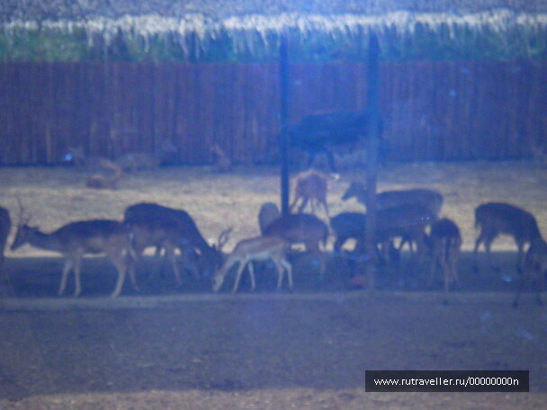 photo 473934