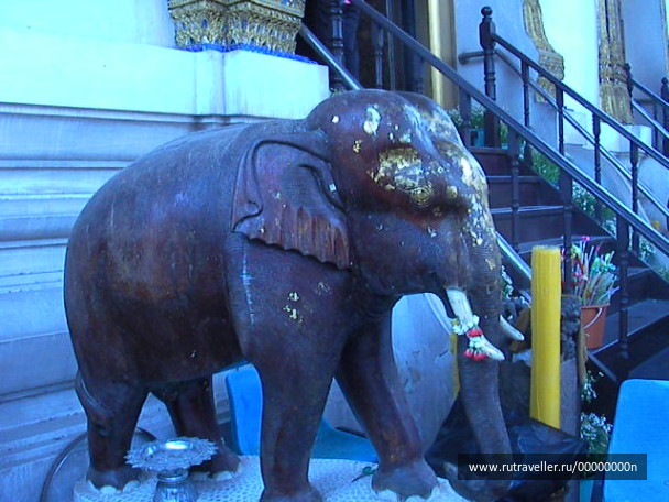 photo 473942