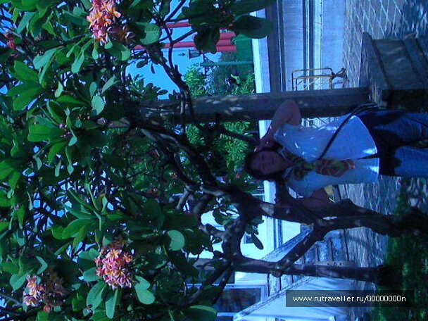 photo 473949