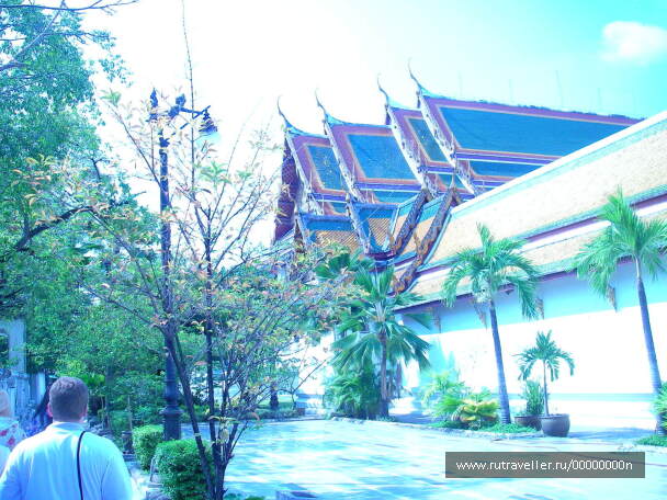 photo 473954