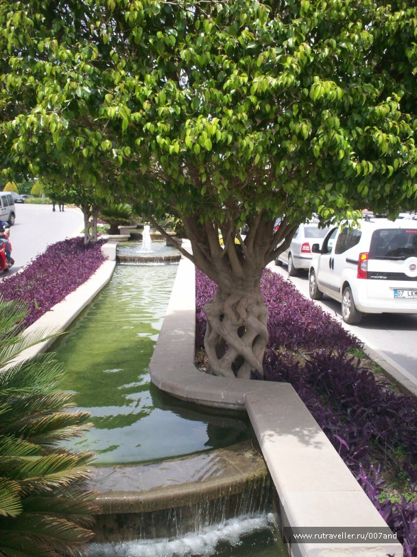 photo 790015