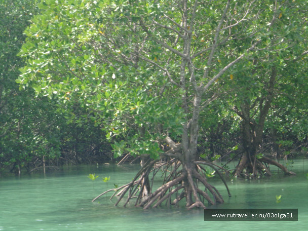 photo 472008