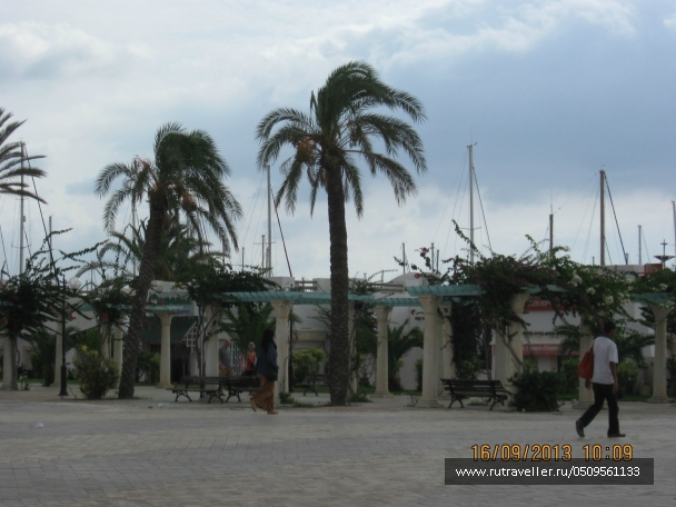 photo 958822