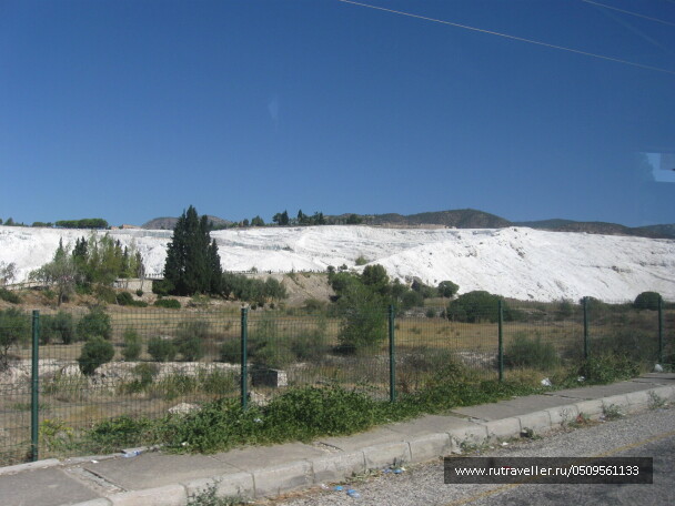 photo 1382821