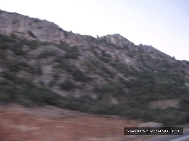 photo 1382831