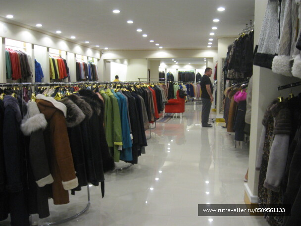 photo 1382840