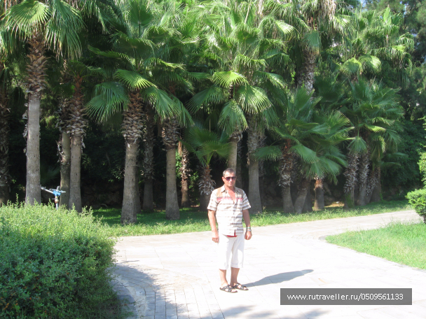 photo 1382871