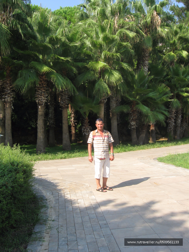 photo 1382872