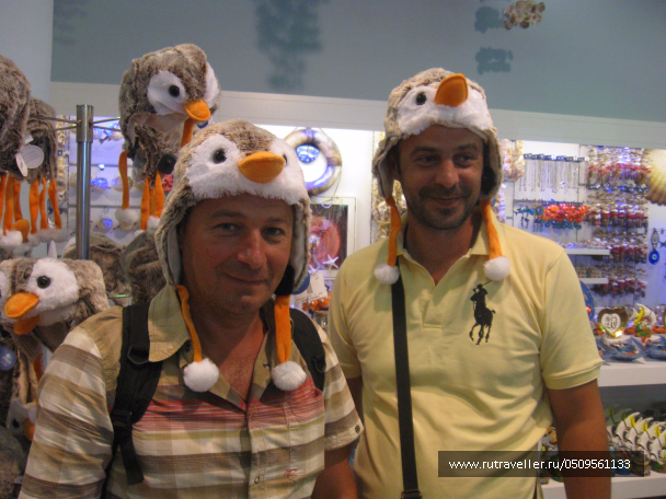 photo 1382893
