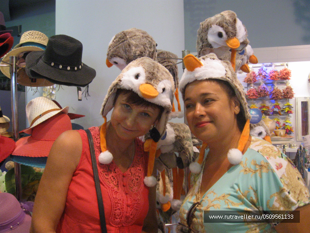 photo 1382894