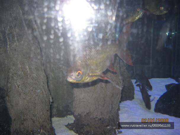 photo 1382895