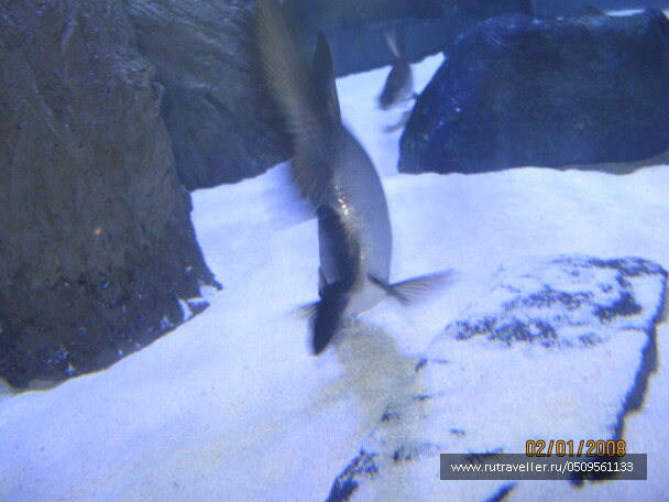 photo 1382896