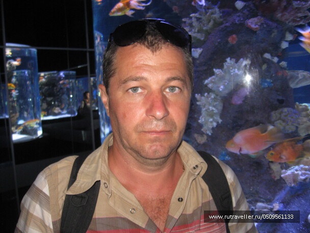 photo 1382897