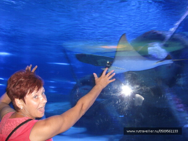 photo 1382912