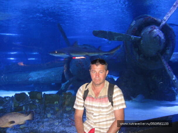 photo 1382913