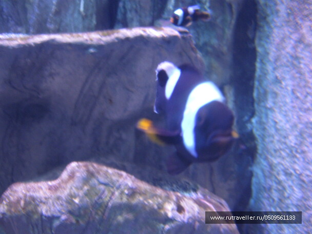 photo 1382918