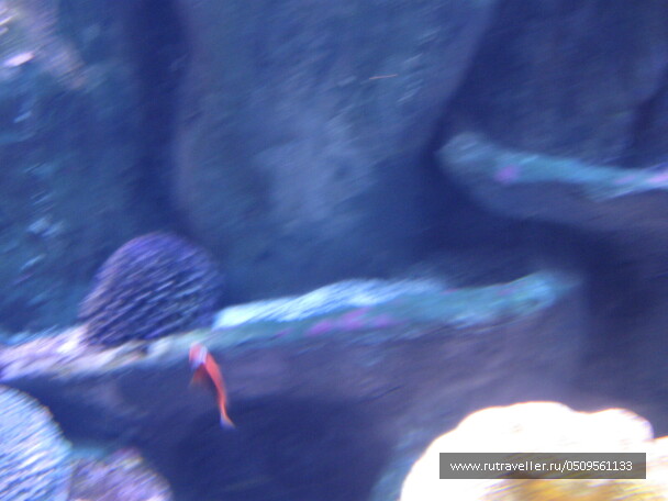 photo 1382919